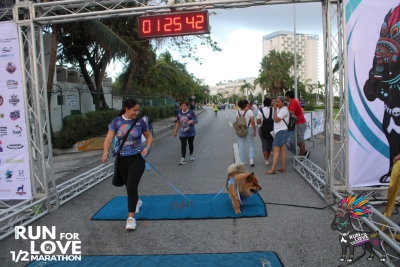 Run for Love 2024